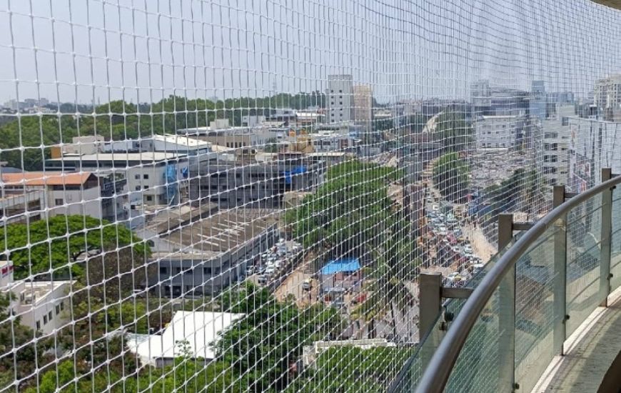 Pigeon Safety Nets