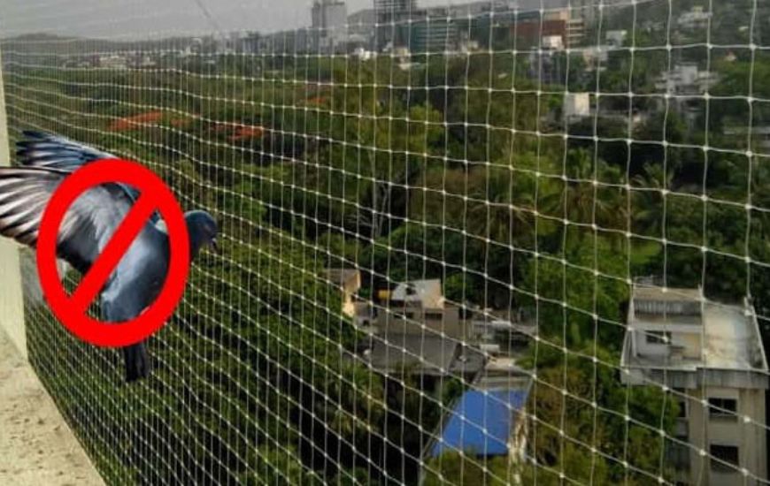 Anti Bird Nets
